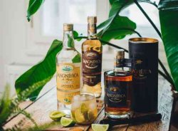 Cachaça: Brazilský rum? Ne tak docela