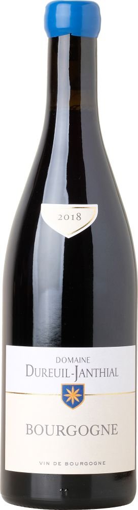 Domaine Vincent Dureuil-Janthial Bourgogne Rouge 2018 0,75l 12,5% / Rok lahvování 2020