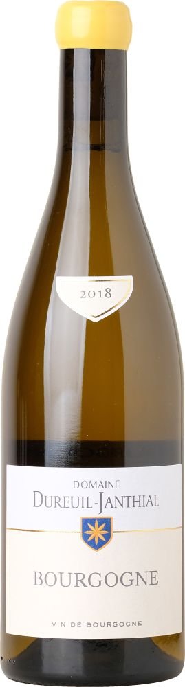 Domaine Vincent Dureuil-Janthial Bourgogne Blanc 2018 0,75l 14% / Rok lahvování 2020