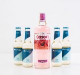 Gordon's Premium Pink Gin 0,7l  + 4x tonic