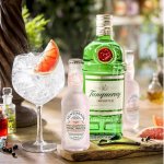 Párty set Tanqueray Gin 1l 43,1% + 8x Fentimans Pink Grapefruit Tonic Water 0,2l