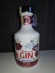 Aukce Žufánek Bohemian gin & absint 12×