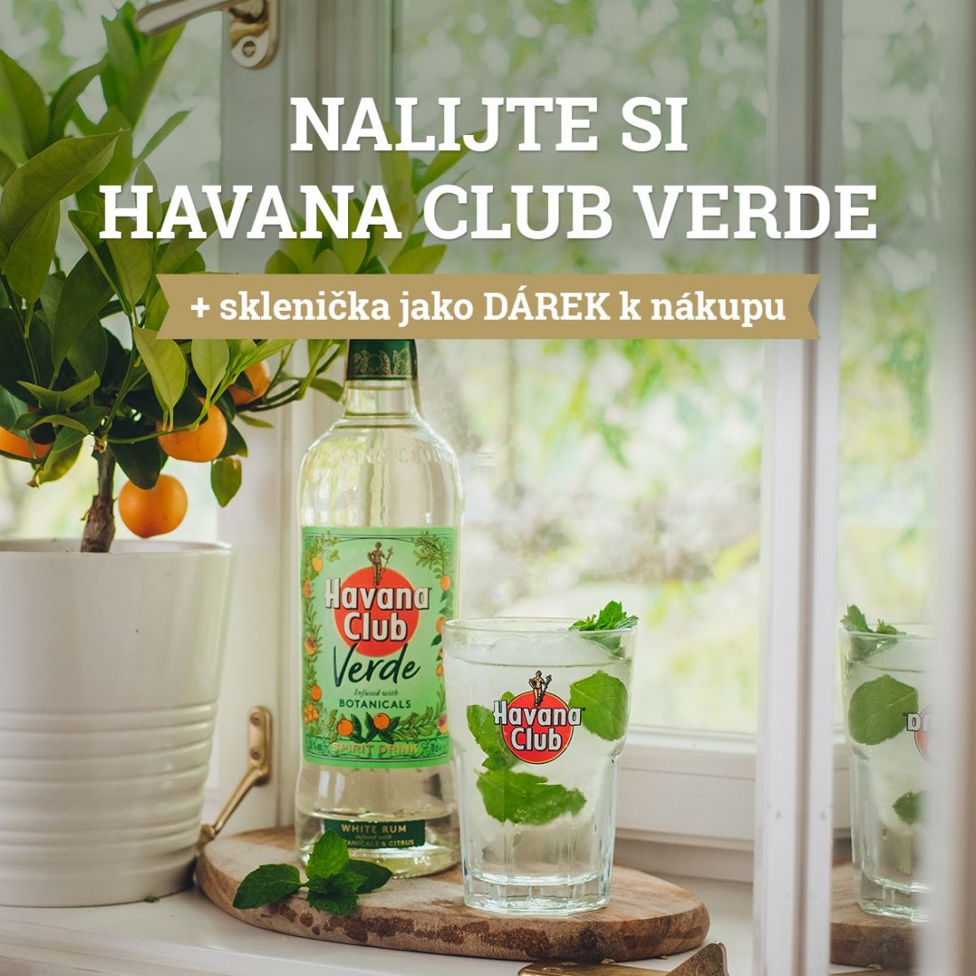 Havana Verde + sklenička