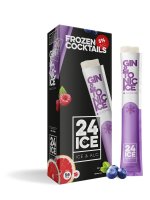 24 Ice Gin & Tonic Frozen Cocktails 5Ã—0,065l 5%