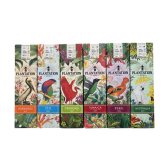 Aukce Plantation Birds of Paradise 6×0,7l GB L.E.