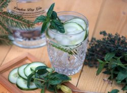 Firemní vánoční večírek: tipy na pití a jídlo II – gin a občerstvení