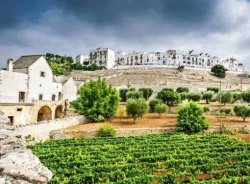 Vinařský region Puglia: Jihovýchodní Itálie patří (nejen) Primitivu