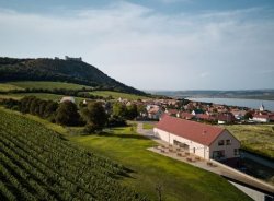 Vinařství Reisten: Vína z Jižní Moravy s nádechem Středomoří