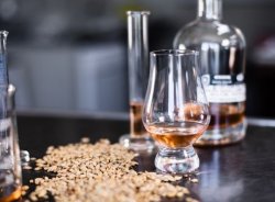Whisky kompas: Jak pít whisky?