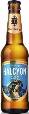 Halcyon Pivo 0,33l 7,4%