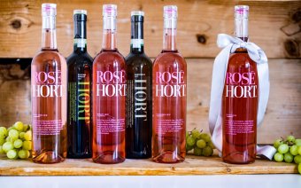 Hort Merlot Rosé Pozdní sběr 2018 0,75l 12%