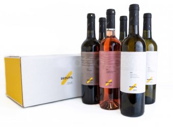 Skoupil Výběr vinaře - kartón vín KERAMIKA 6×0,75l