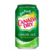 Canada Dry Ginger Ale 0,355l