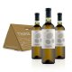 THAYA dárkový box STŘECHA - bílá vína VOC Znojmo 2020 3×0,75l Karton